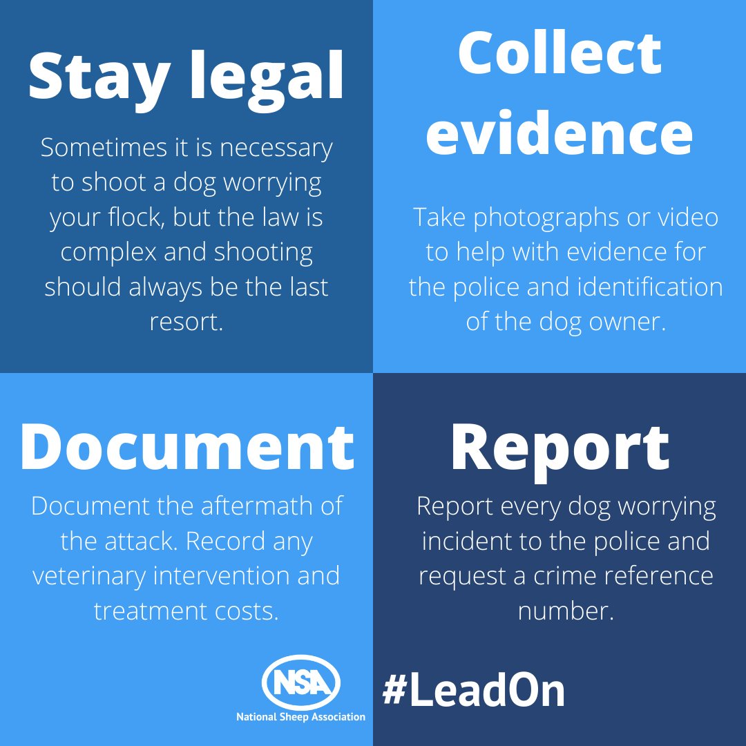 We have seen a rise in reports of sheep being attacked by dogs recently.

It is a criminal offence to allow a dog to worrying livestock - this does not just mean chasing, harming or killing sheep but includes dogs getting into fields and causing distress to livestock.