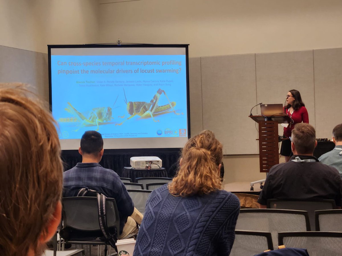 Behavioral Plasticity Research Institute (@nsf_bpri) on Twitter photo Maeva Techer presented amazing findings on locusts transcriptome during  the ESA 2024 conference #entosoc2024 #NSFBPRI Maeva Techer presented amazing findings on locusts transcriptome during  the ESA 2024 conference #entosoc2024 #NSFBPRI