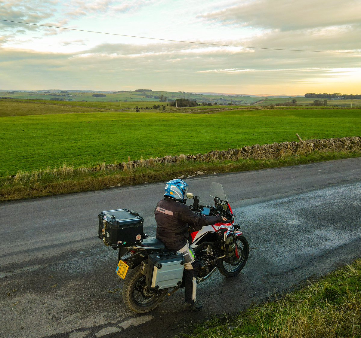 Helmet Head tweet media