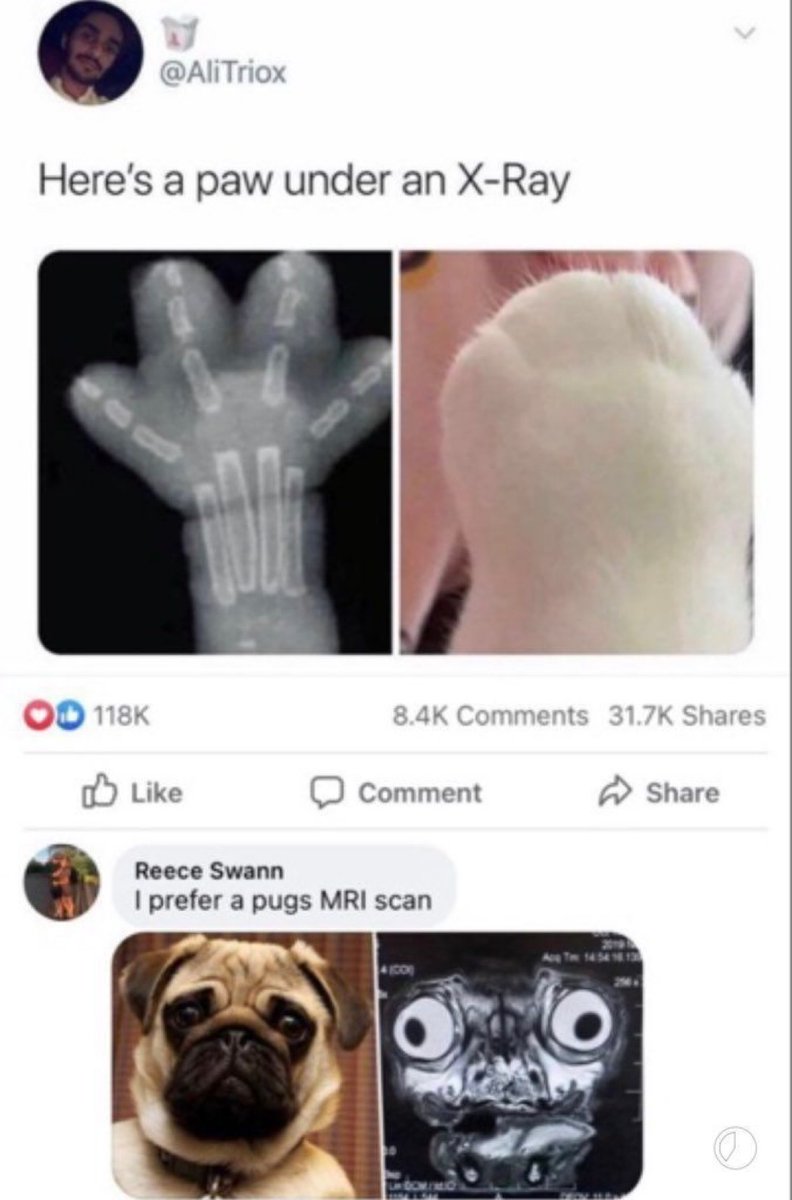 nocontextmemes's tweet photo. https://t.co/NWvLGcqdDa