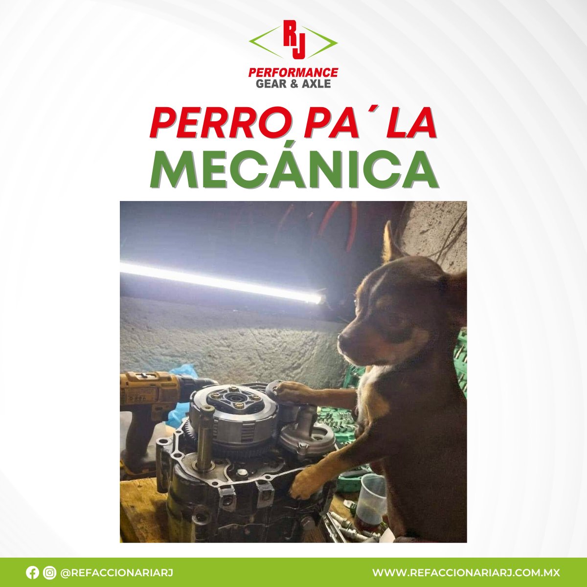 refaccionariarj's tweet photo. Ya tenemos chalan nuevo 🫣 https://t.co/fivfHiwEED