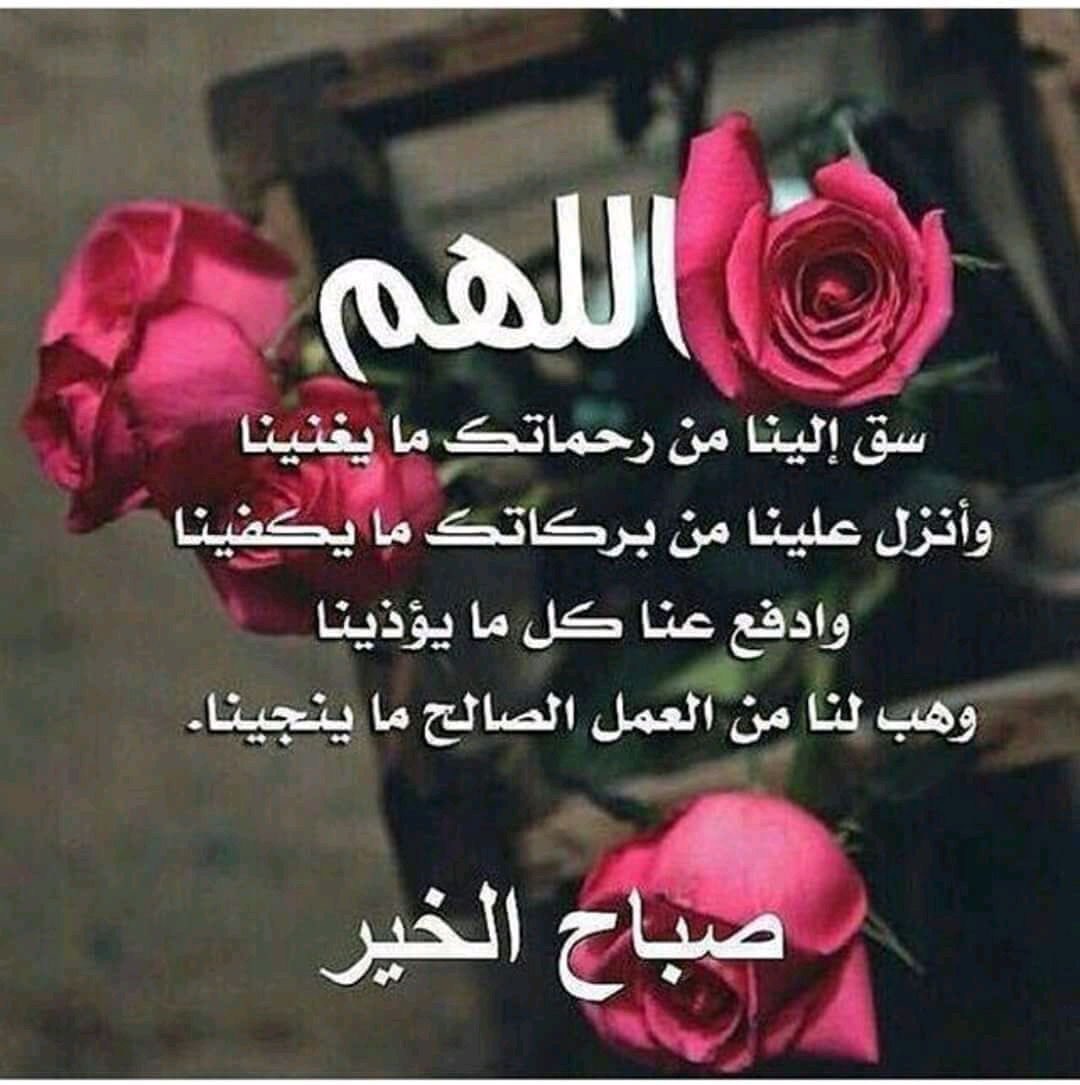 طالب المغفرة 😓 أبو البراء (@gh442) on Twitter photo 