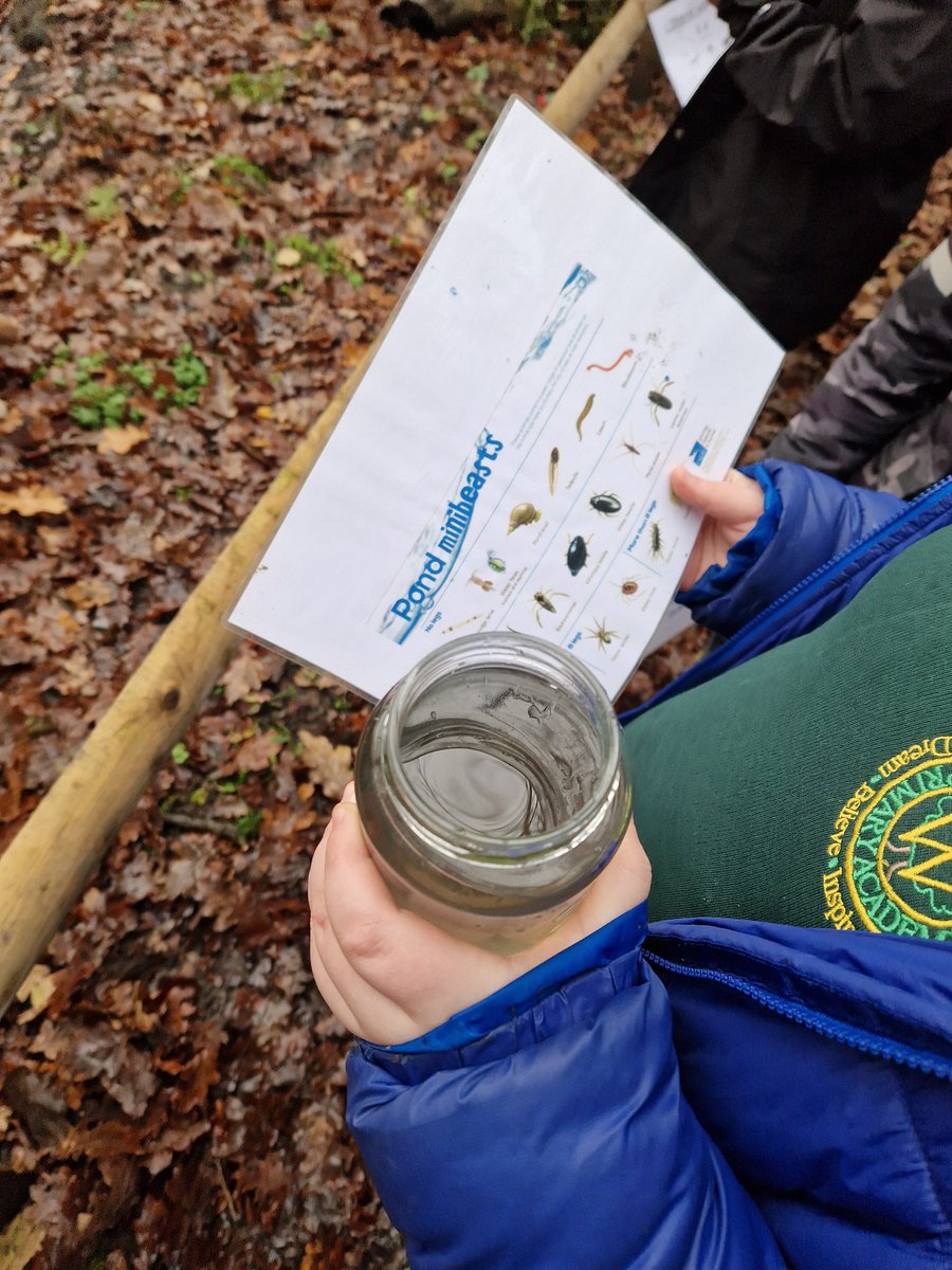 rootstofruitce's tweet photo. Year 4 @WoodhousePA investigated the living creatures that make the streams and ponds at Pitts Wood their home 🐸 🪰 🐌 @rootstofruit202 https://t.co/r6P6NXRF1g