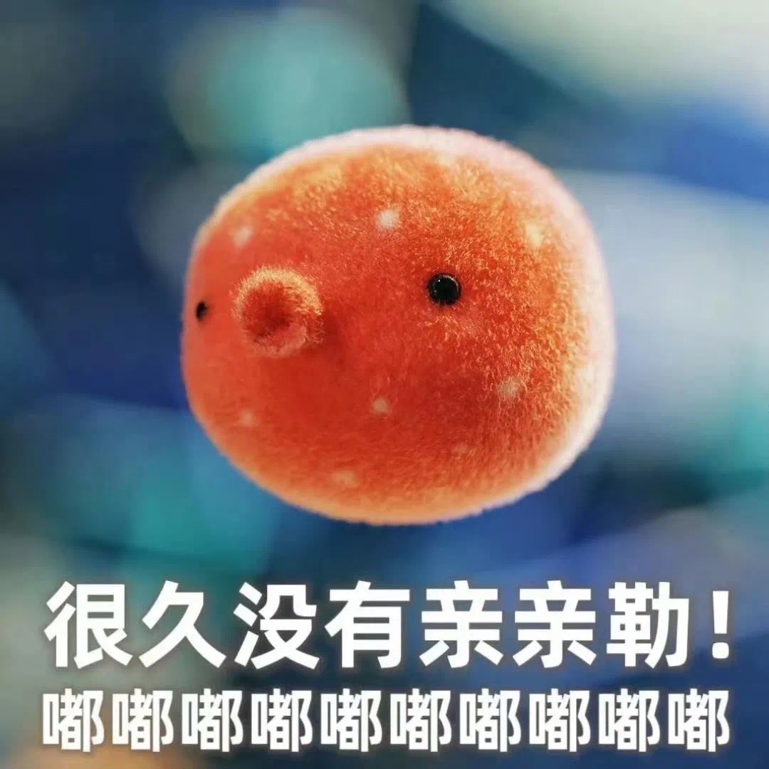 🍑小桃的失眠日记 tweet media