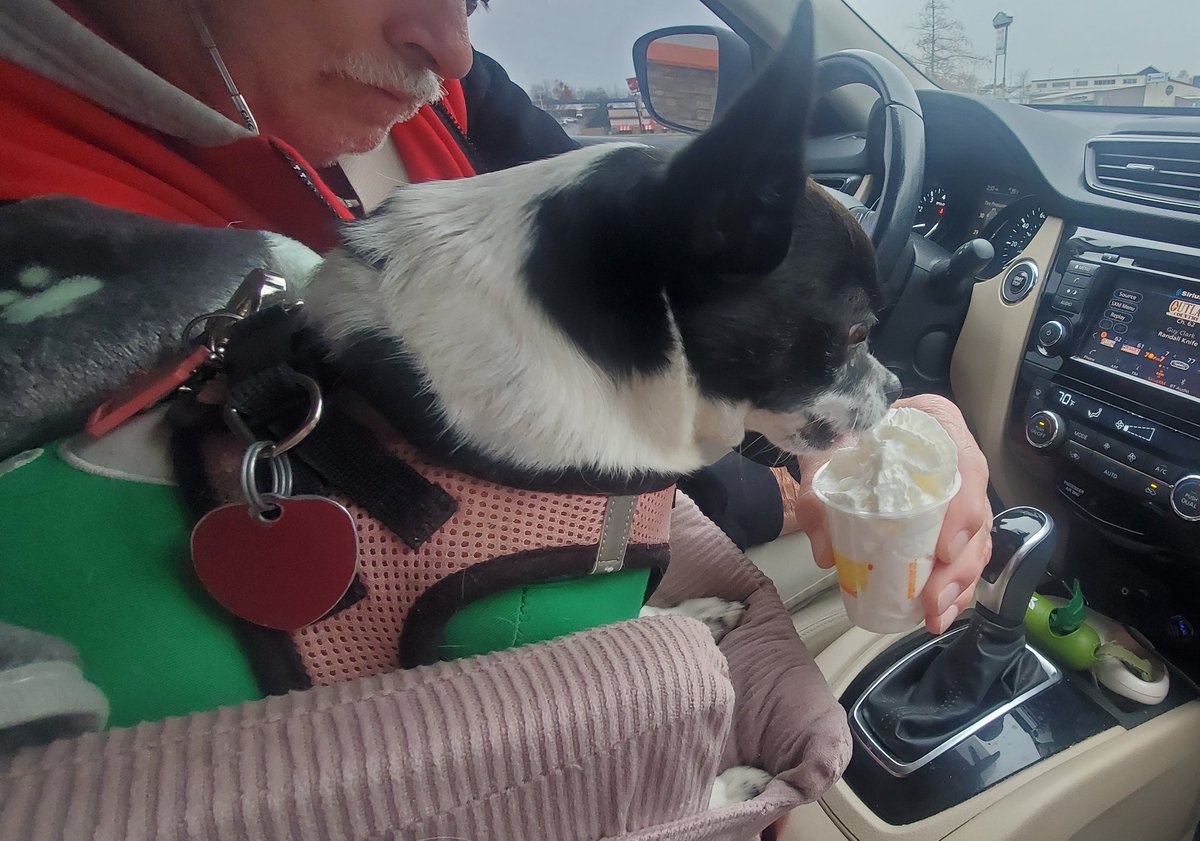 Doc🌈😇 & Luna's Mommy tweet media