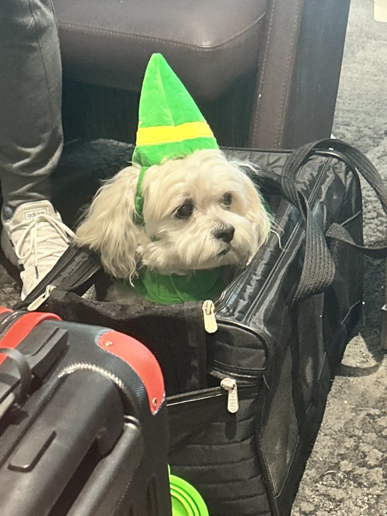 Victoria Thompson, M.S. tweet media