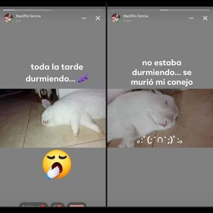 😭😭😭😭😭