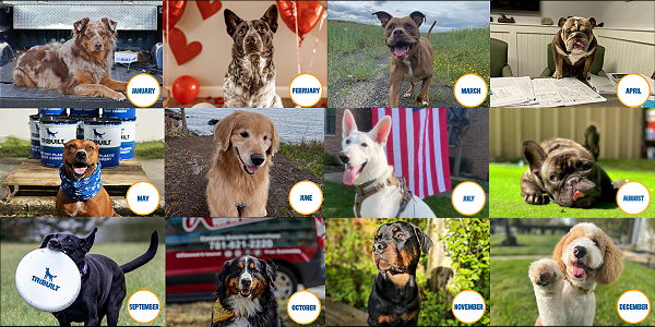 RoofCoffeeShop's tweet image. TRI-BUILT reveals 12 "Top Dog" winners 
rooferscoffeeshop.com/post/tri-built… 

#Beacon #TRIBUILT #RoofersCoffeeShop #RoofingProfessionals #RoofingContractors #RoofingIndustry