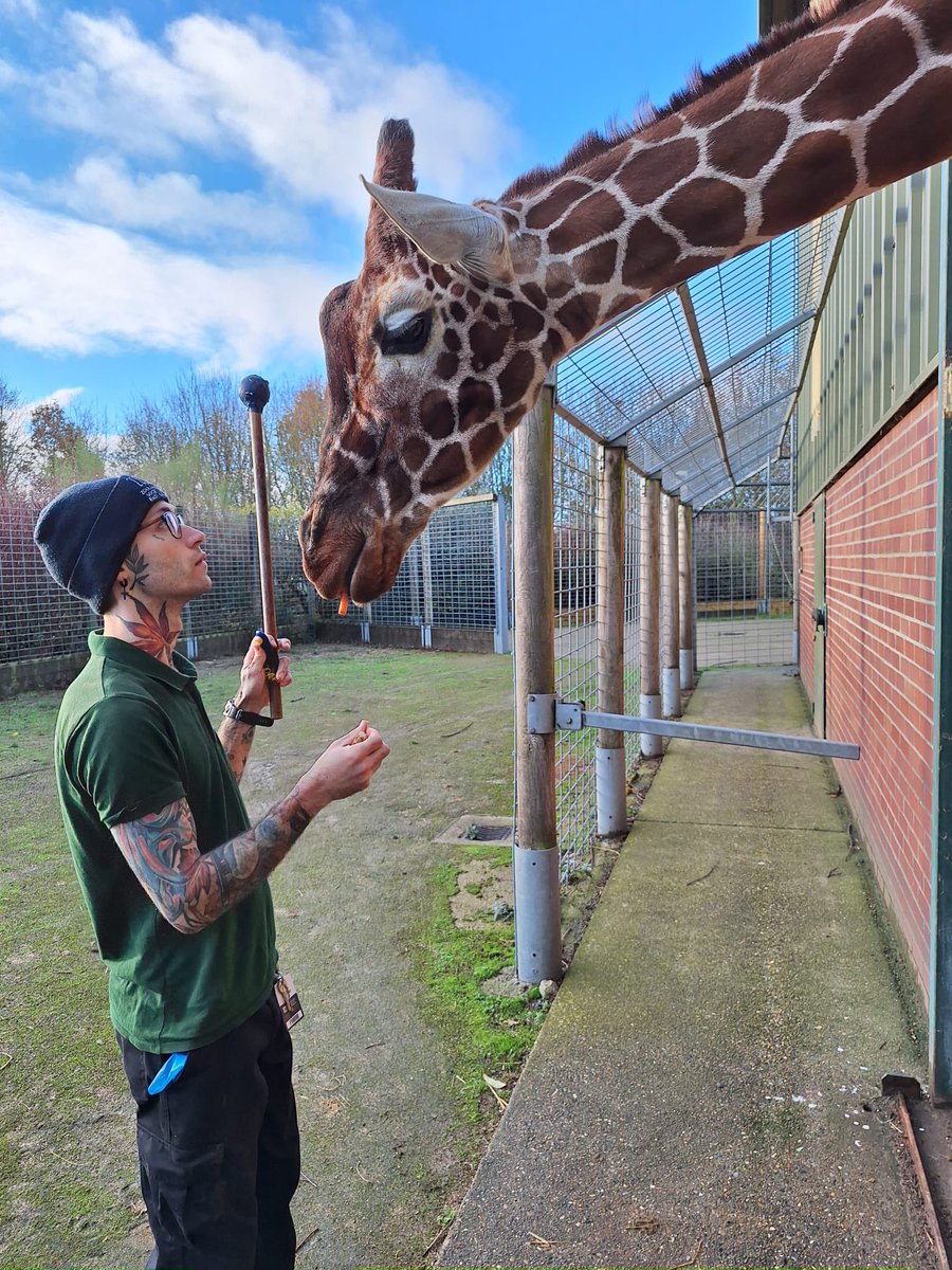 Jared (@lavatf2) on Twitter photo 