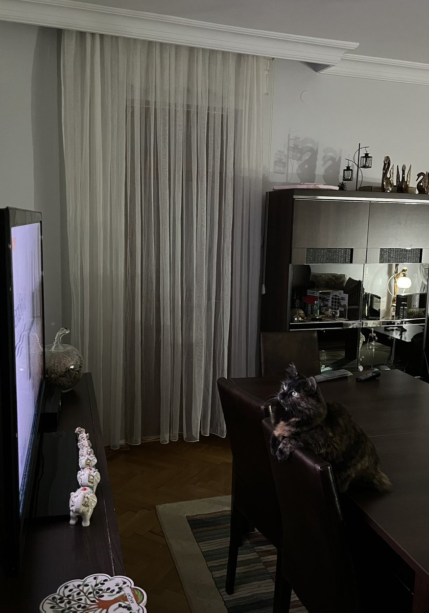 mert karacan (@hmertkaracan) on Twitter photo 