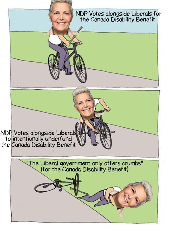 Sarah_Colero's tweet image. For those trying to absolve Federal NDP from this, they voted for Budget 2024 knowing the harms, and their Disability critic defended voting for it on a disabled podcast after.

Grandstanding in the HoC afterward &amp;amp; forwarding an *empty* motion did absolutely nothing to help this.