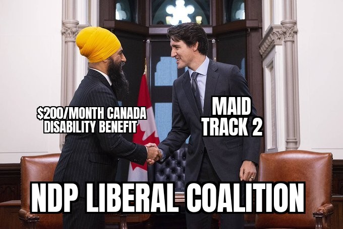 Sarah_Colero's tweet image. For those trying to absolve Federal NDP from this, they voted for Budget 2024 knowing the harms, and their Disability critic defended voting for it on a disabled podcast after.

Grandstanding in the HoC afterward &amp;amp; forwarding an *empty* motion did absolutely nothing to help this.