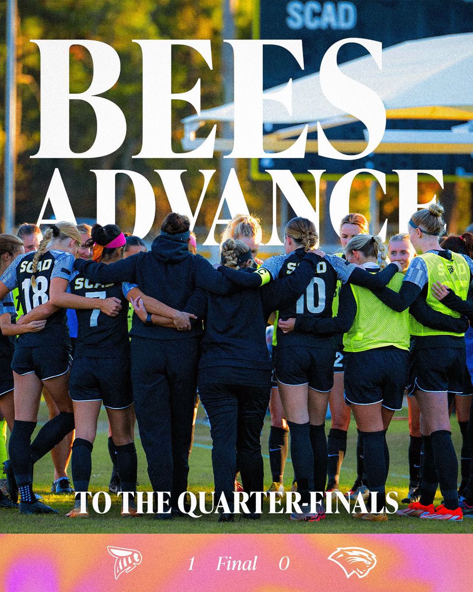 Your Bees advance to the QUARTERFINALS!!!!!