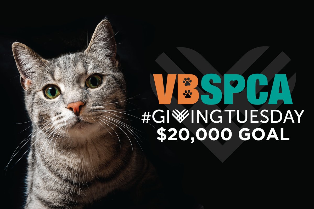 #GivingTuesday is here! We need your help raising $20,000 for the thousands of animals who come to the VBSPCA each year in need of a second chance. Every dollar makes a difference, and you become a part of our mission with your donation.

Make your gift at secure.qgiv.com/for/bsguiz