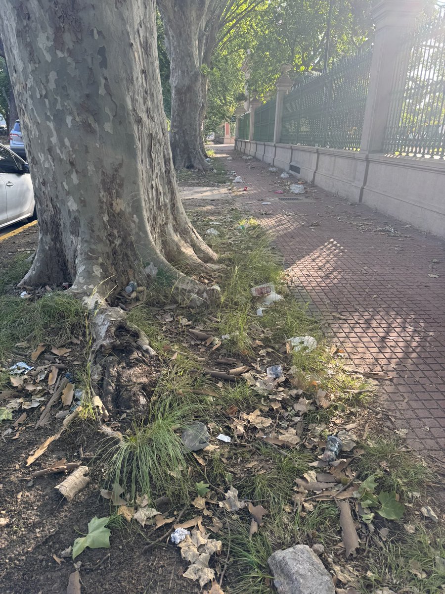 Toro Otero tweet media