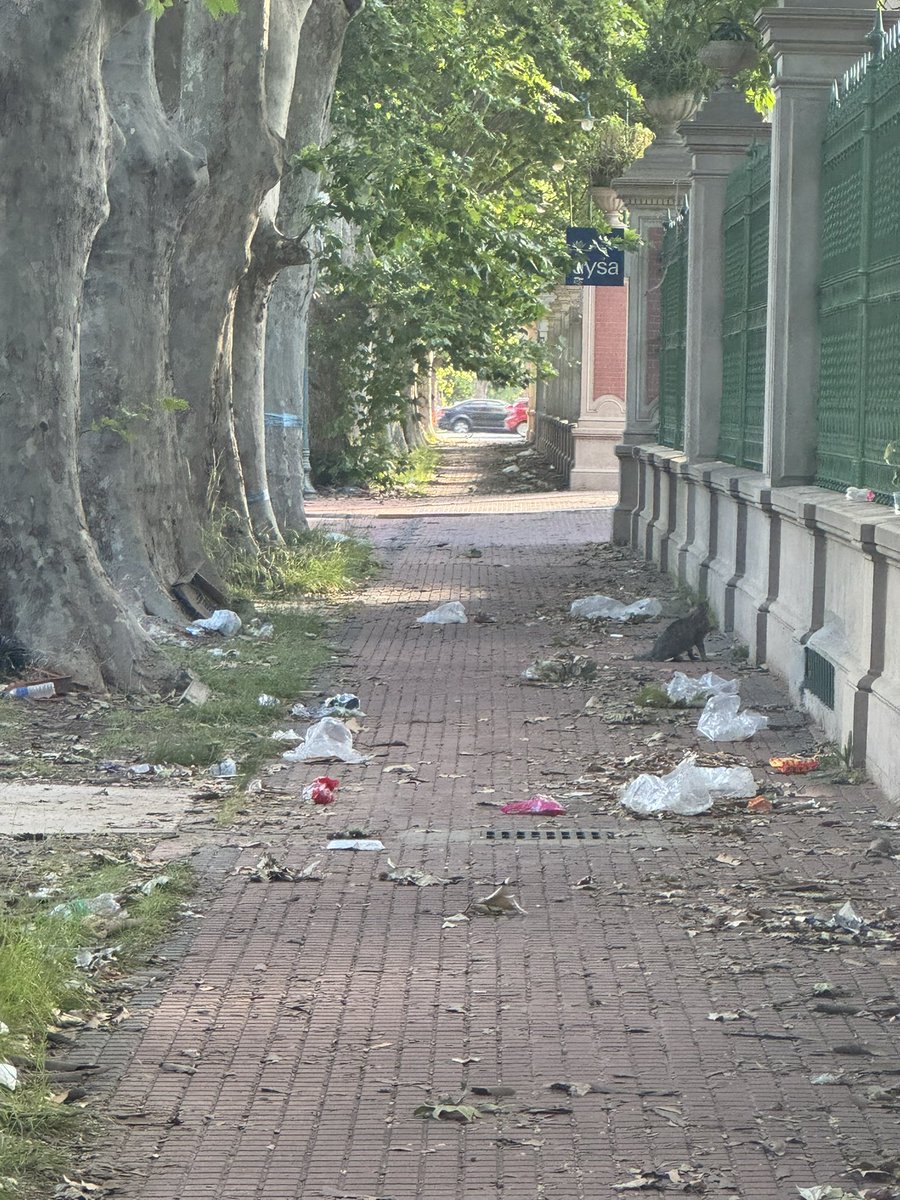 Toro Otero tweet media