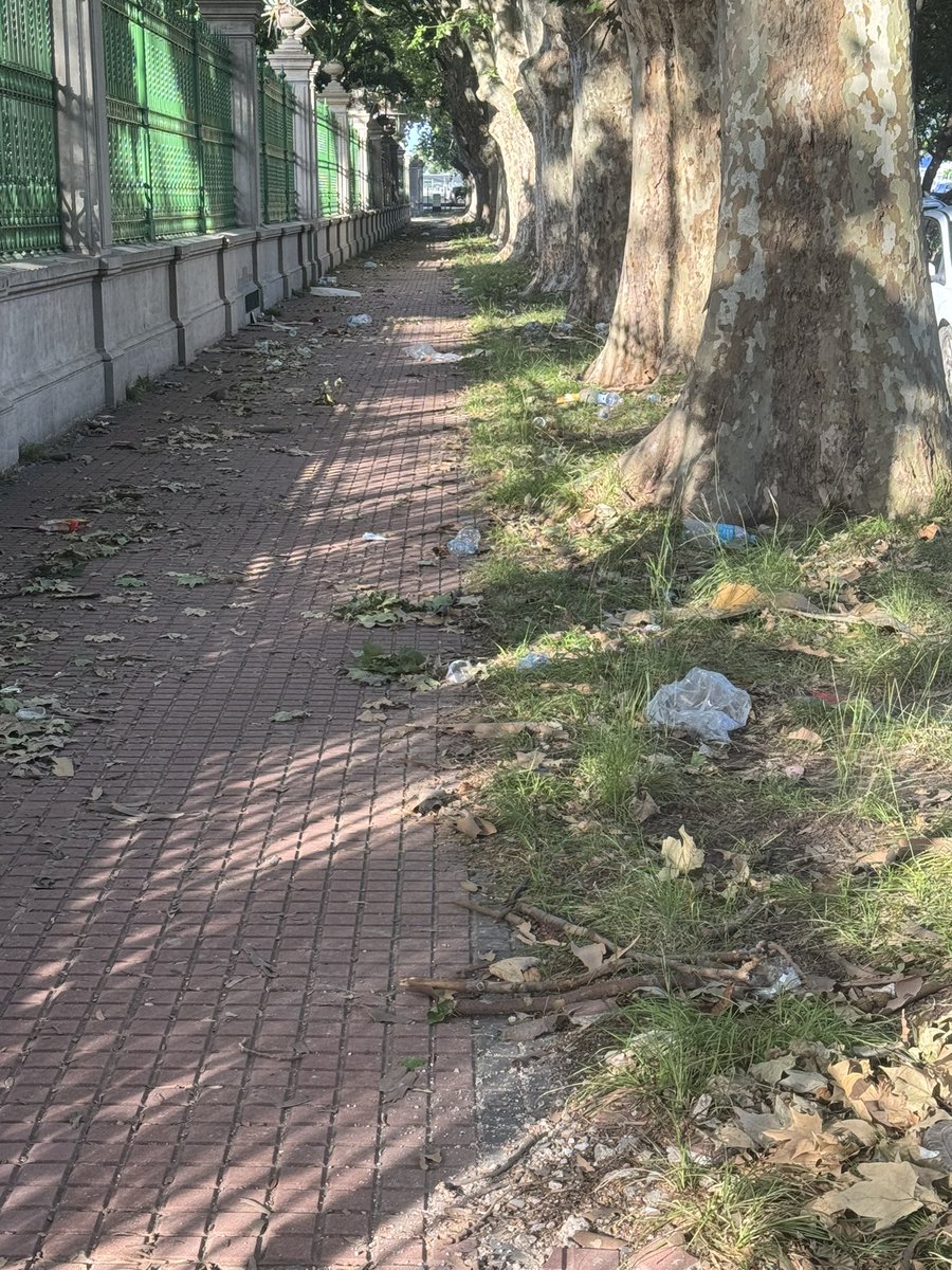 Toro Otero tweet media