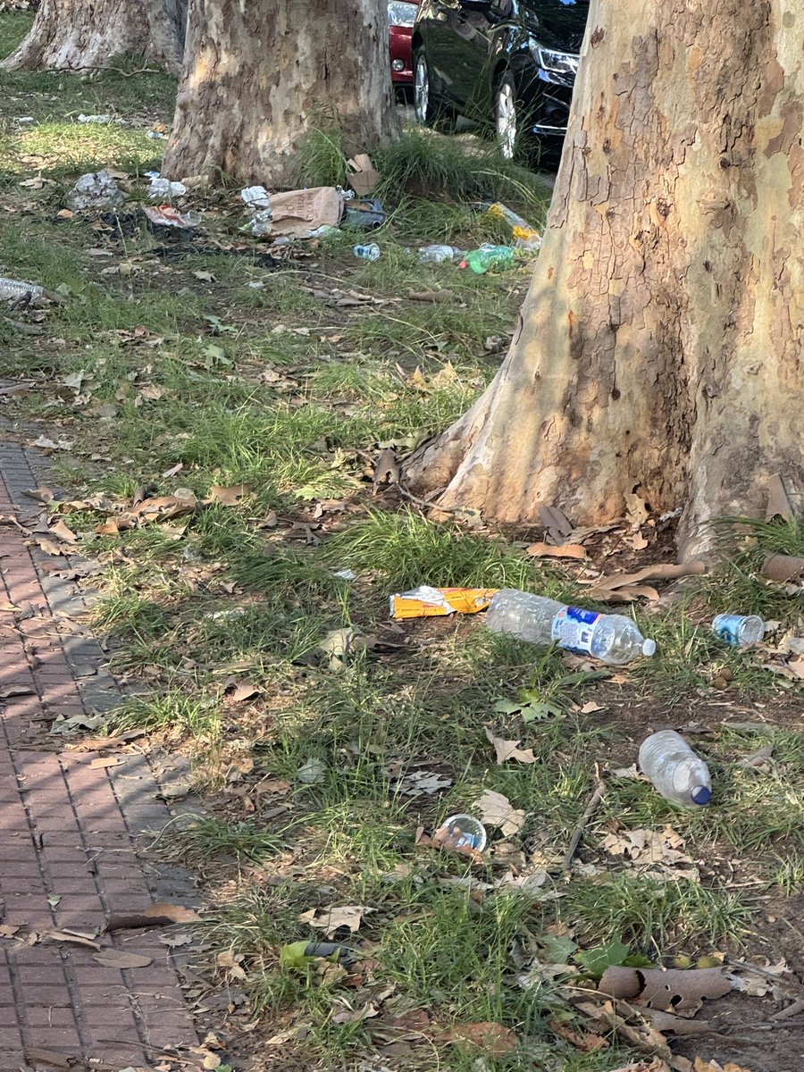 Toro Otero tweet media