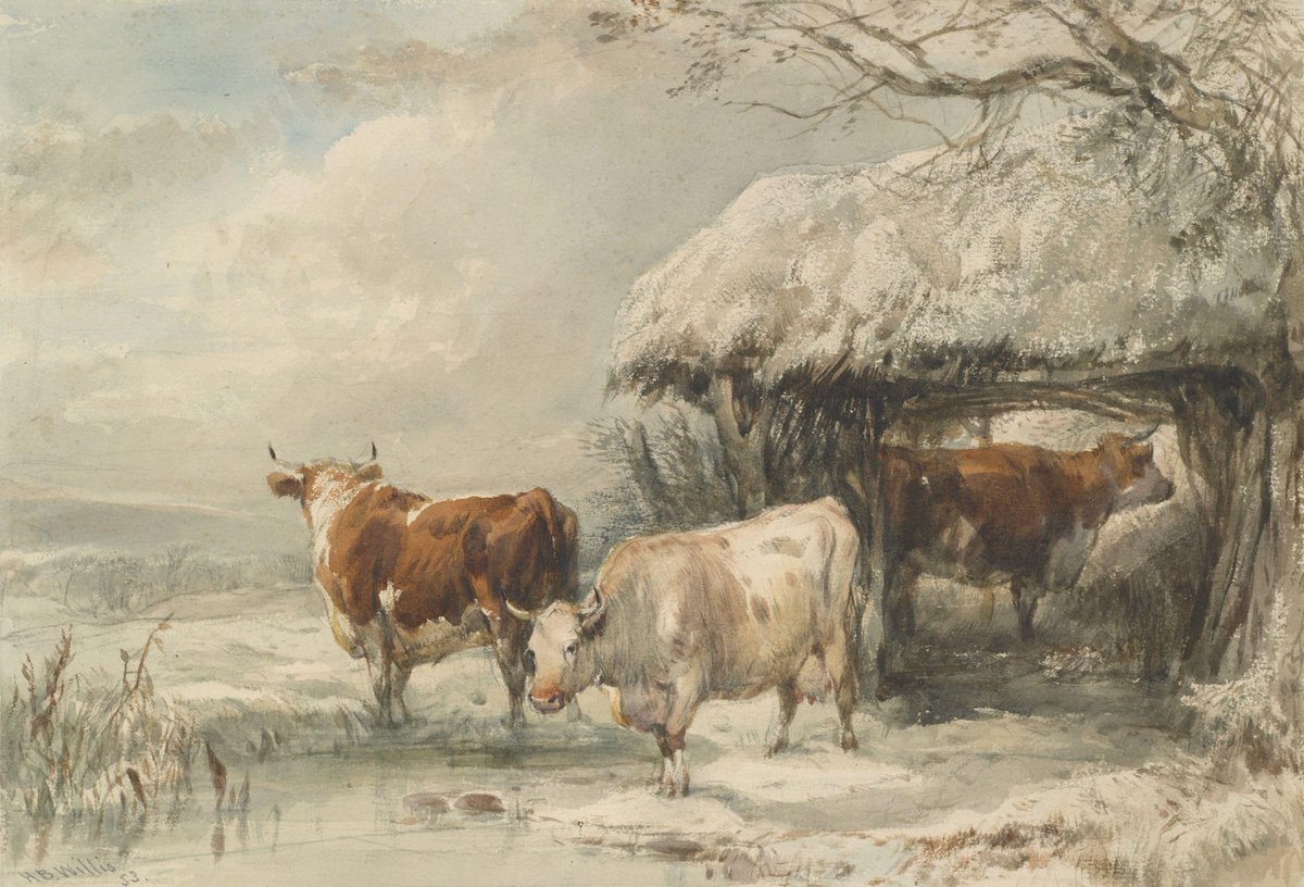 Happy December! ❄️ Dive into stories of #winter traditions and cultural #history with <a href="/JSTOR_Daily/">JSTOR Daily</a>. Explore free #research links &amp; celebrate the season with us! 🎄📚

Discover more: bit.ly/3ZkvhS3 

🖼 Cows in Winter by Henry Willis, 1853. <a href="/Te_Papa/">Te Papa</a>.
