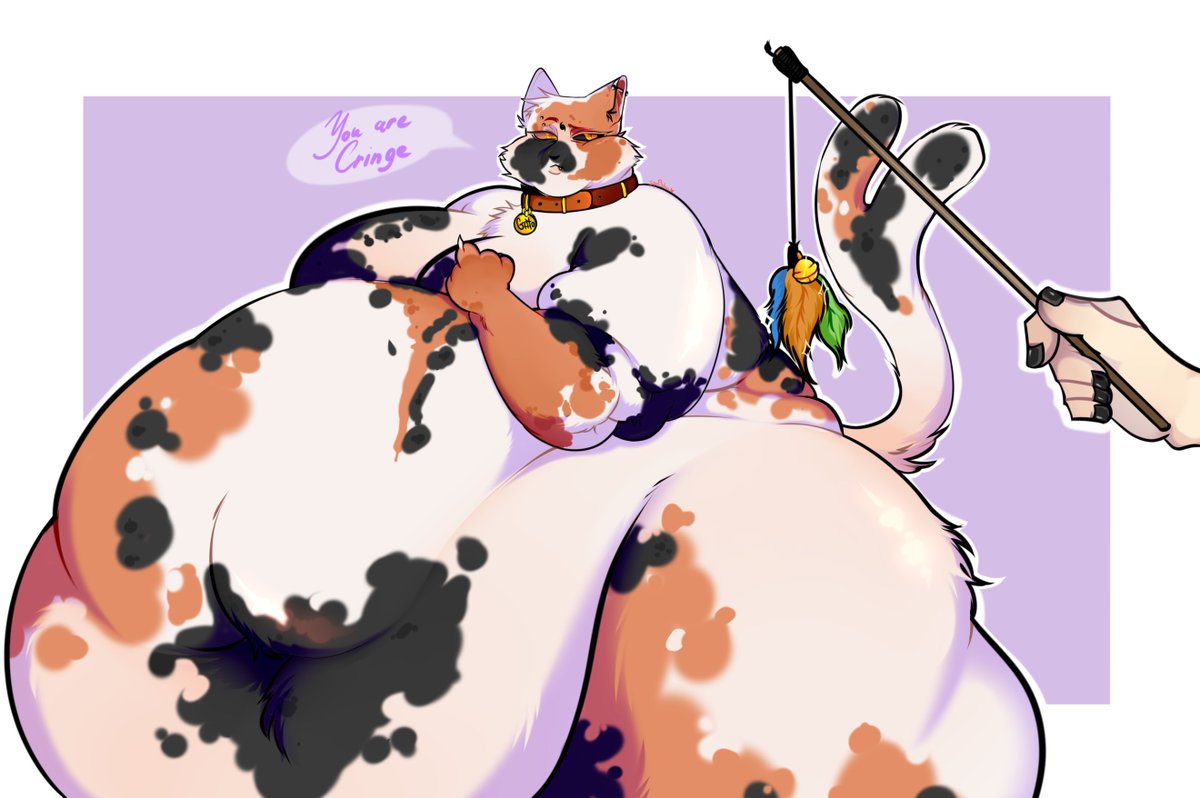 It seems to me that he doesn't like to play with me...