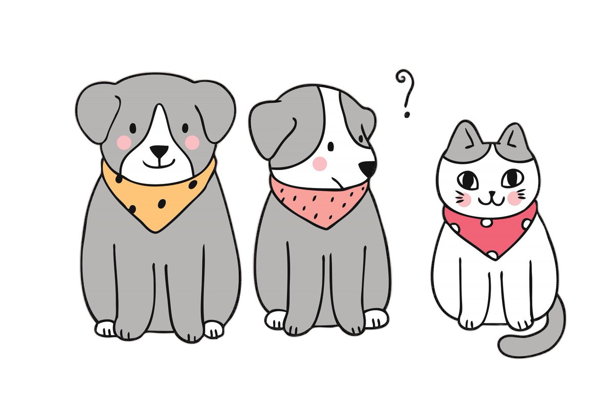 XRPets_'s tweet photo. πΎ "When the pack meets a curious new friend!" πΎ
πΆπΆ: "Wait... are you one of us?"
π±: "Of course, Iβm purr-fect for XRPets Universe!"
β¨ Join the cutest blockchain project celebrating pets, memes, and XRP!
π Token: $XRPETS
#XRPets #XRP #MemeCoin πΆπ± @elonmusk https://t.co/QZW2zFBRbX