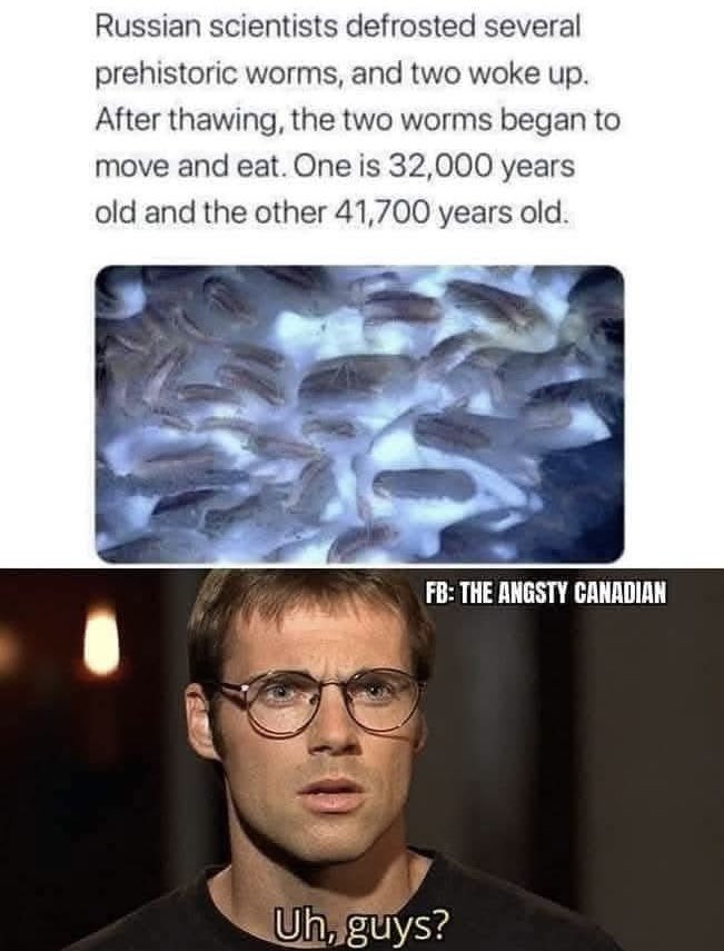 Rothmus 🏴 tweet media