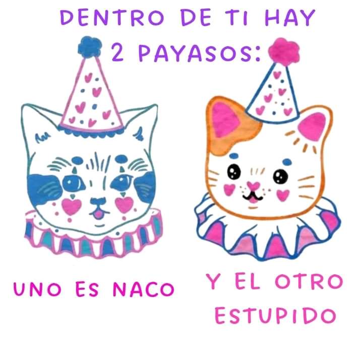 Maestre Mapaxito (@mapaxitouwu) on Twitter photo 