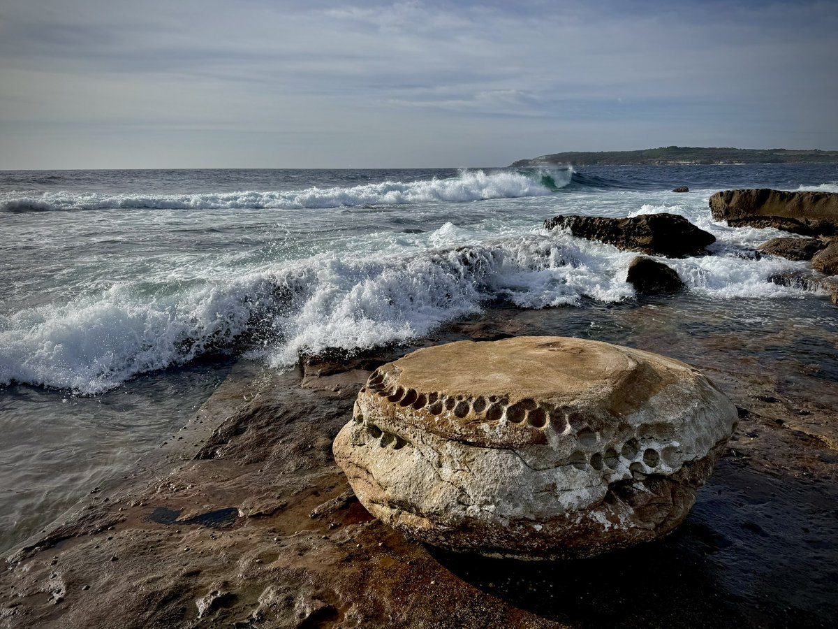 Tafoni waves. 
#Sydney #sandstone #coast