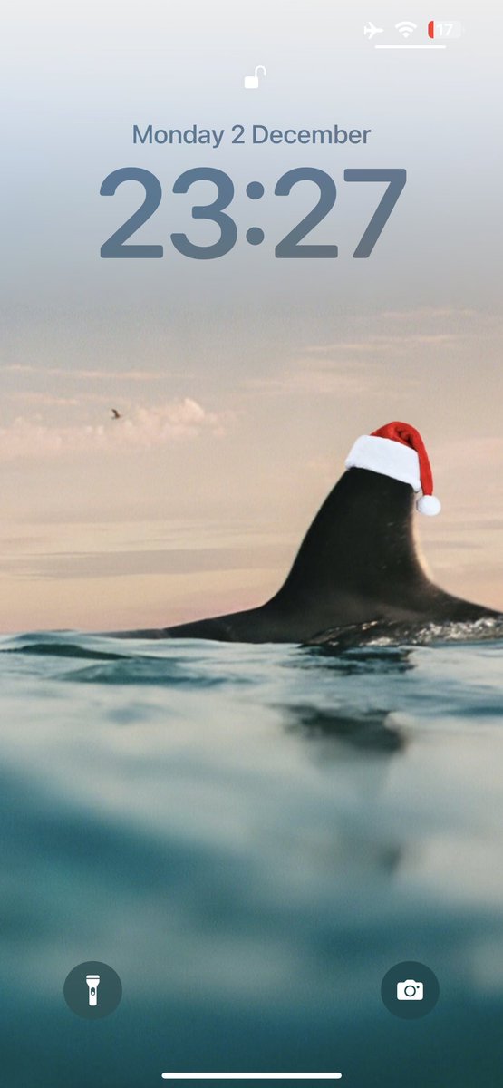 SailorLipa's tweet photo. It’s the festive season https://t.co/7f4PL6R43t