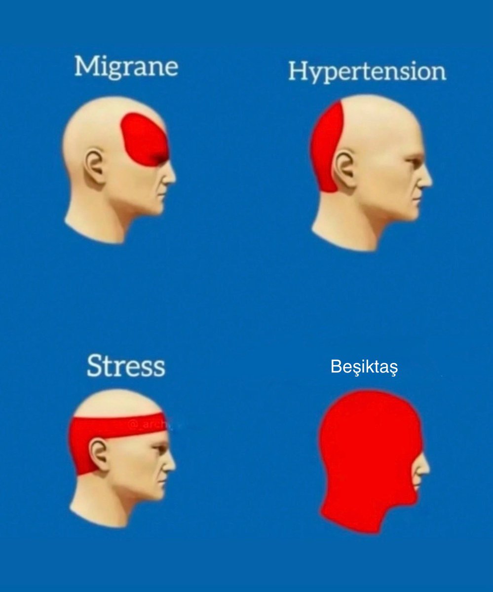 Batuhan Bayazıt (@batuhanbayazit) on Twitter photo 