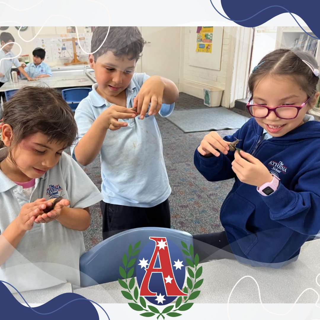 AthenaPrimary's tweet image. We celebrate the uniqueness of every learner. 🌱 Each child explores, discovers, and grows in their own style, at their own pace. By honoring individuality. Because when learning fits the student, the possibilities are endless. ✨
#AthenaSchool #LearningYourWay #LoveForLearning