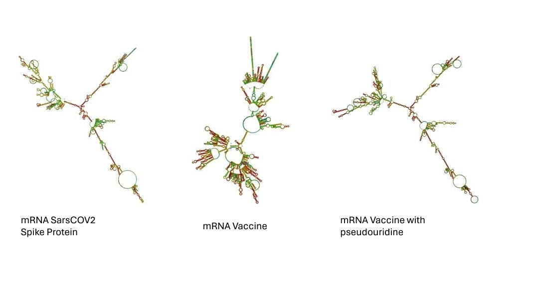 Daniel Williams tweet media