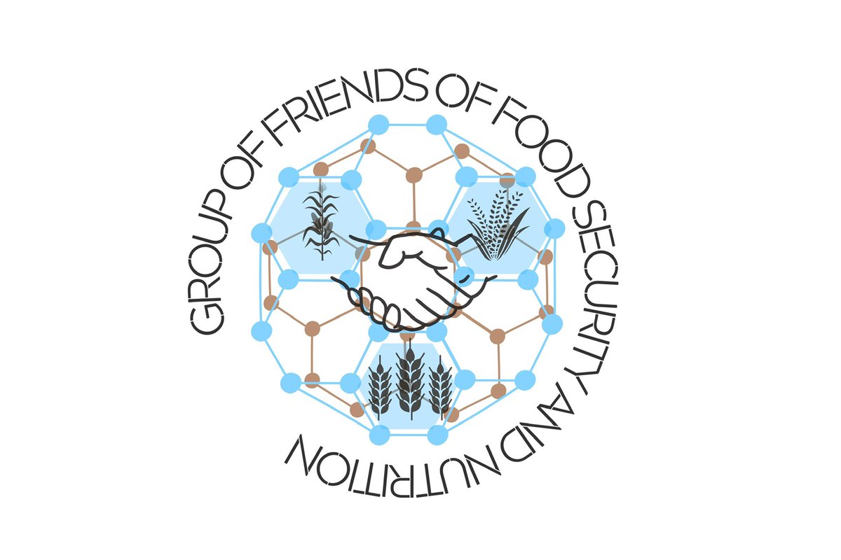 At meeting of GoF of #FoodSecurity and Nutrition hosted by 🇮🇹 on the margins of the 2nd Preparatory Conference of #FFD4, Italy’s PR Amb. <a href="/MauMassari/">Maurizio Massari</a> &amp; chair of the group, underscored the urgent need for more cost-effective financing to eradicate hunger and for a common definition