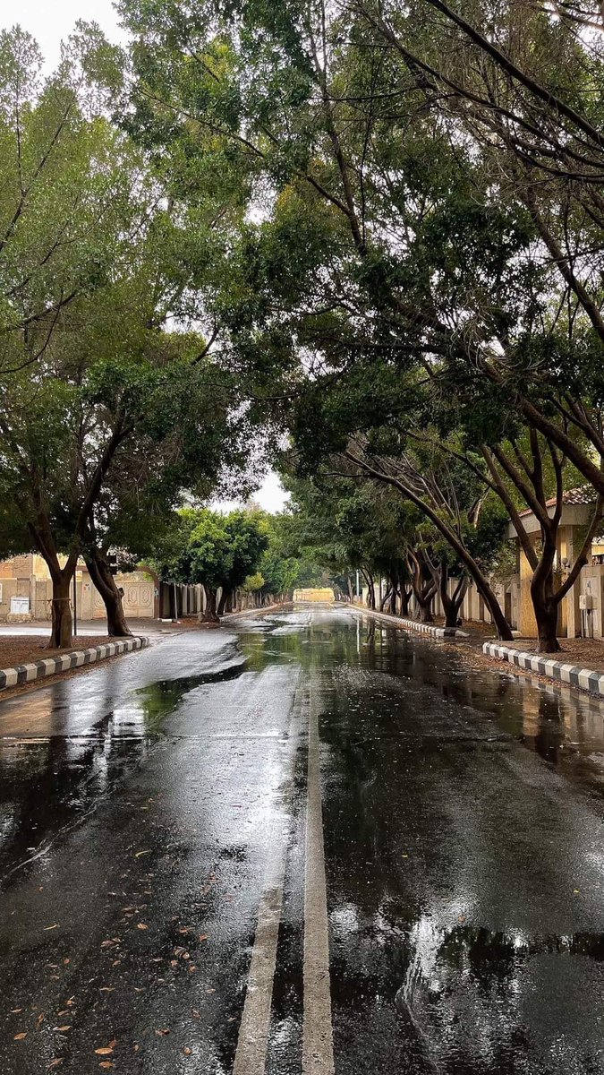 حبيبتي الخرطوم، أعتذر منكِ عن كل الشوارع التي سلكتُها دون أن تأخذني إليك.