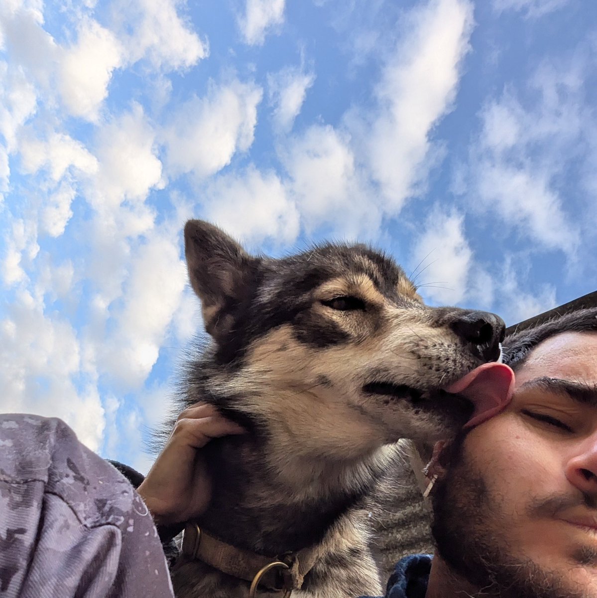Only Dog Can Judge Me tweet media