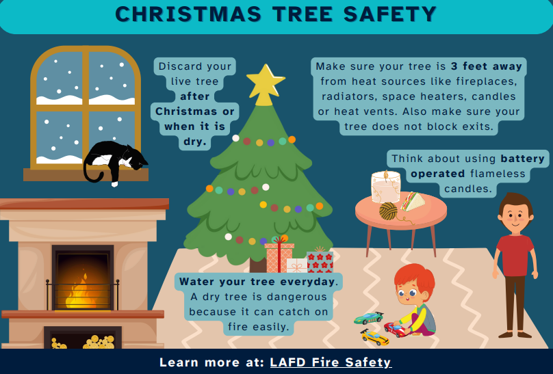 Here are a few important holiday season safety tips as we kick off December! Remember to practice safe online shopping etiquette, get vaccinated against flu if you haven't already, and keep your Christmas tree away from all fire hazards.