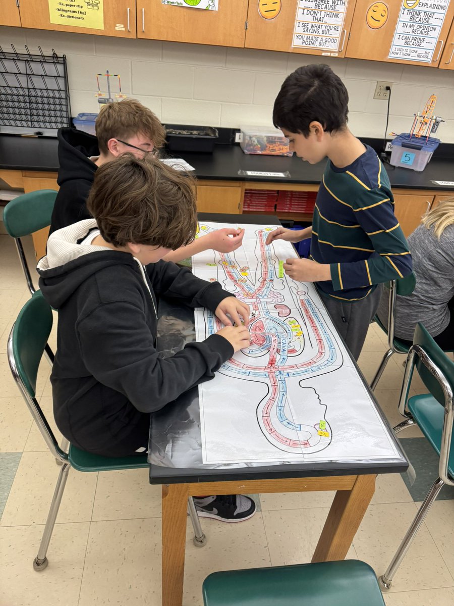 Kimberly Simon (@mrssimonsclass) on Twitter photo Playing the the circulation game to learn how oxygen and carbon dioxide are moved around the body <a href="/wyckoffschools/">wyckoff schools</a> <a href="/WPSEisenhower/">Eisenhower Middle School</a> Playing the the circulation game to learn how oxygen and carbon dioxide are moved around the body <a href="/wyckoffschools/">wyckoff schools</a> <a href="/WPSEisenhower/">Eisenhower Middle School</a>