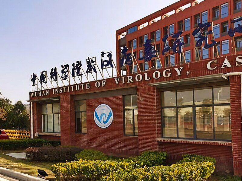MarioNawfal's tweet photo. 🚨 HOUSE COVID REPORT: BAD LABS, NOT BATS?

Lab Leak Theory and Lax Oversight

COVID-19 likely didn’t start with bats but with bad lab safety at the Wuhan Institute of Virology. The lab, partially funded by U.S. taxpayers, conducted dangerous gain-of-function experiments to make viruses more infectious. Oversight was so weak that even the Department of Defense rejected proposals from EcoHealth Alliance, citing inadequate safety plans.

Fauci’s Narrative Spin

Dr. Fauci reportedly worked behind the scenes to steer scientists toward dismissing the lab leak theory, promoting the “natural origins” narrative instead. Emails show he wanted to discredit the theory early, shaping public opinion and dodging questions about U.S. funding links to the Wuhan lab.

EcoHealth Alliance’s Comedy of Errors

EcoHealth Alliance, managing U.S. funds for Wuhan research, fumbled repeatedly. They delayed reporting dangerous experiments to the NIH for two years, missed deadlines for progress reports, and misled officials about where taxpayer-funded virus samples were stored.

The $64 Billion Disappearing Act

Pandemic relief fraud totaled a staggering $64 billion, wasted on fraudulent claims, misuse, and poor oversight. It’s one of the largest losses of taxpayer money in modern history. This failure reflects a chaotic approach to managing emergency funds during a global crisis.

Biosecurity? What’s That?

Even before the pandemic, the Pentagon flagged EcoHealth’s research proposals for lacking biosecurity measures. Despite these warnings, the lab continued high-risk experiments with little accountability.

The Accountability Gap

The report stresses the need for stronger oversight, better biosecurity, and transparency in funding decisions. It warns that without accountability, public trust in health agencies and scientific research could crumble—setting the stage for even greater disasters in the future.

Lessons Learned—or Are They?

The report doesn’t just call for reform—it demands answers. From funding questionable research to mismanaging relief funds, this is a wake-up call for how the government handles emergencies. Let’s hope we don’t repeat these mistakes.

Source: House Select Subcommittee on the Coronavirus Pandemic Report