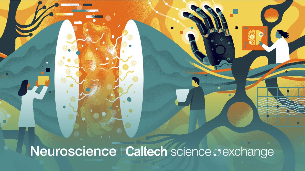 Caltech's tweet image. Neuroscience unlocked! 🔐
Explore the newest addition to the #CaltechScienceExchange:
Explore how breakthroughs in technology are advancing brain research and shaping the future of neuroscience.
Start exploring: scienceexchange.caltech.edu/topics/neurosc…