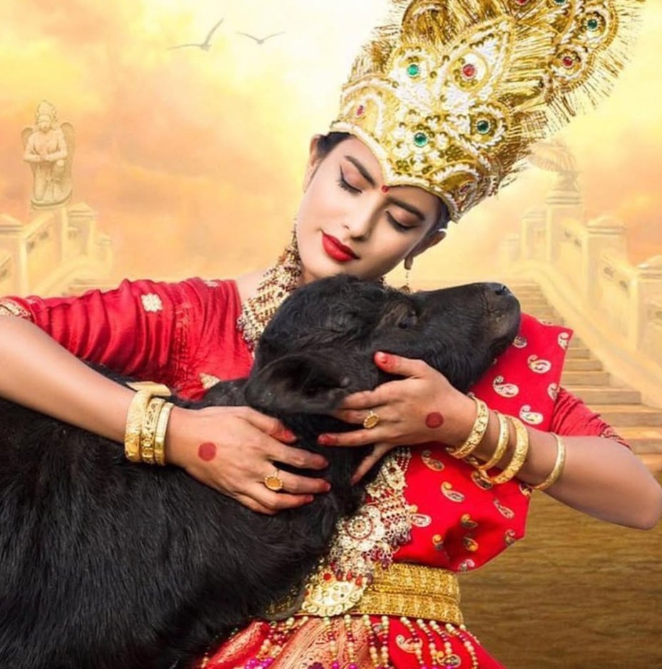 <a href="/MofaNepal/">MOFA of Nepal 🇳🇵</a>-

The Global Campaign to #StopAnimalSacrifice needs your support to spread a message of #kindness to ensure that the estimated 5 million #NepaliHindu attending the #Gadhimai will hear the #VoiceofAnimals.

☘️#vegansudesh
🖥️ campaign.sudesh.org

#AIart #sstvi #Nepal