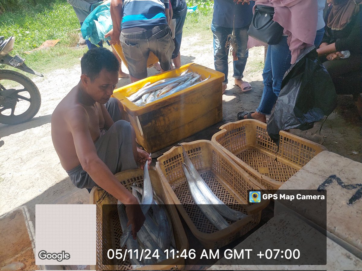 ZaniTarzan's tweet photo. Selasa(05-11-24) Tarzan zani luhkan kota bengkulu. Hasil tangkap anggota koperasi lancang kuning, ikan layur 25 kg. 25000K.K
#GiatLuhkanSatminkalBRPPUPP
#luhlapor 
@bppsdm_kp 
@bppsdm_brppupp https://t.co/xLvG5o6n8O