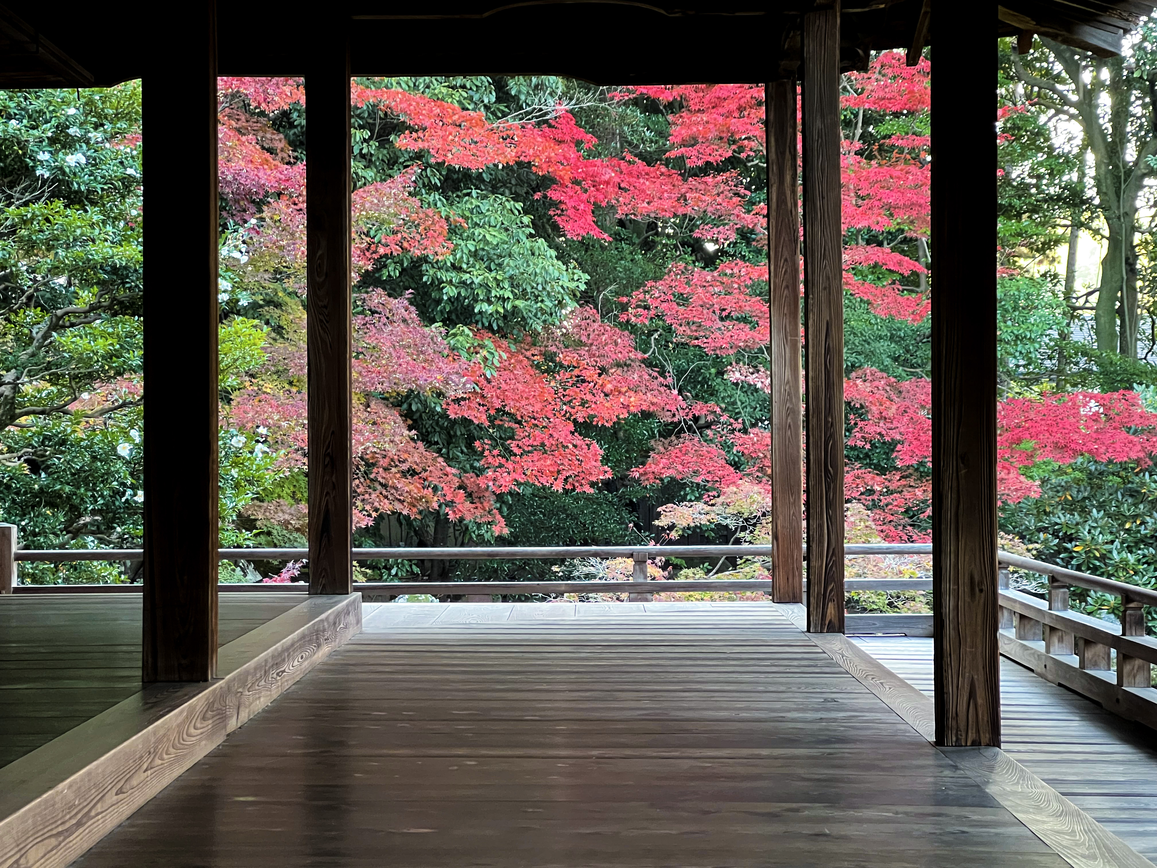 随心院 on X: 