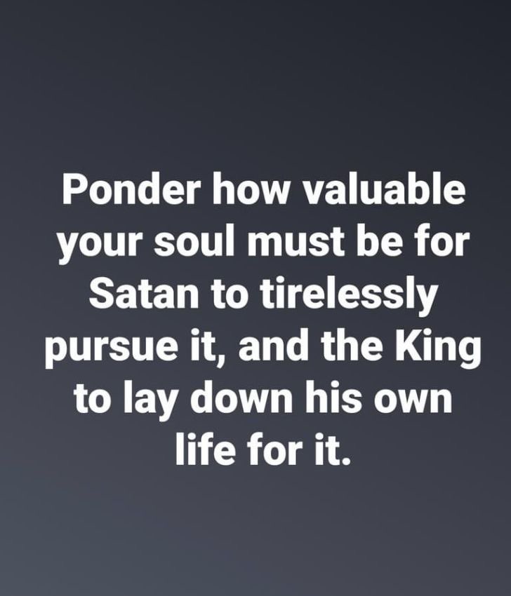 MalcangiSarah's tweet image. 