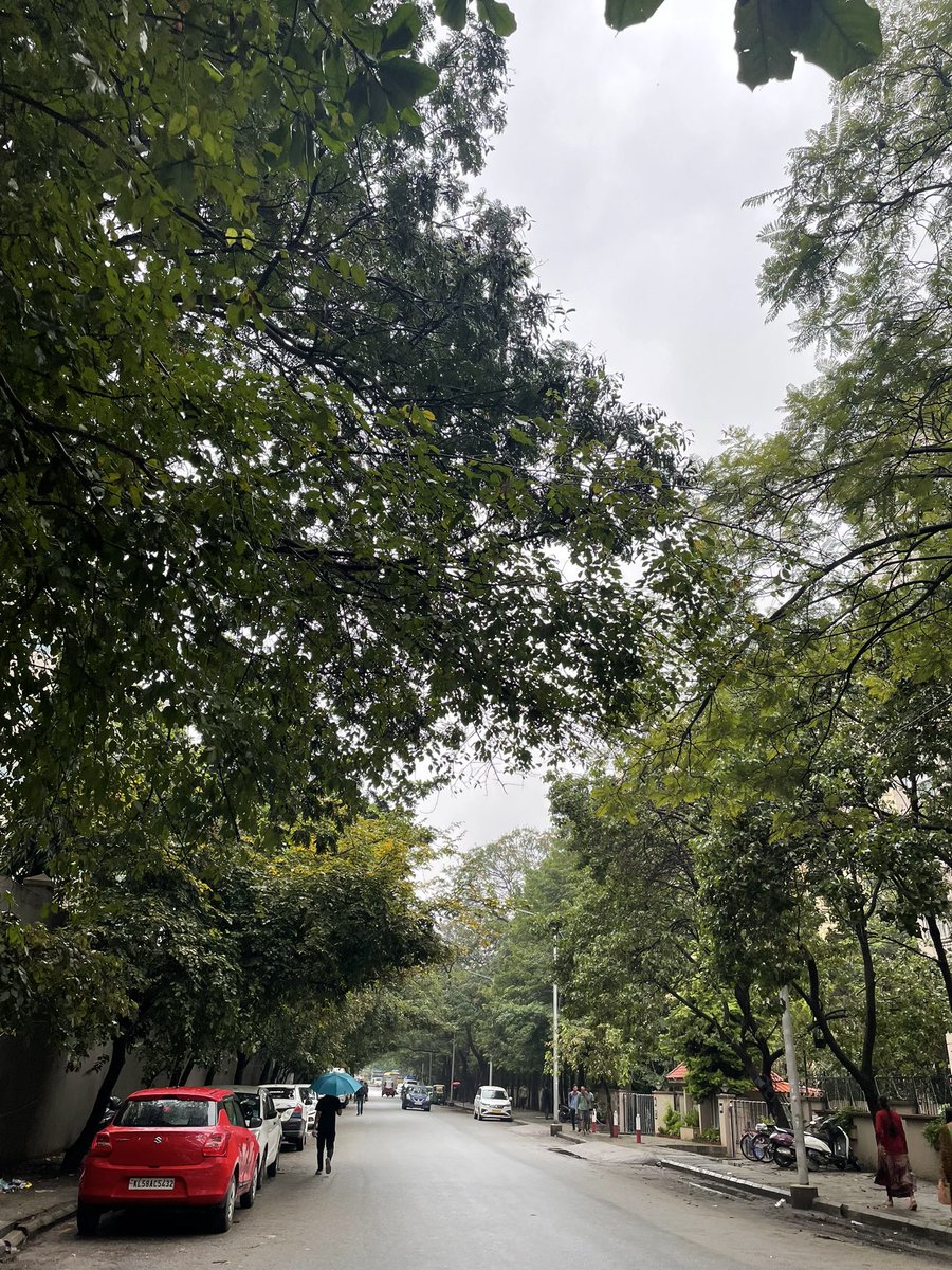 design_aashi's tweet image. Mornings in Blr 🌧️
