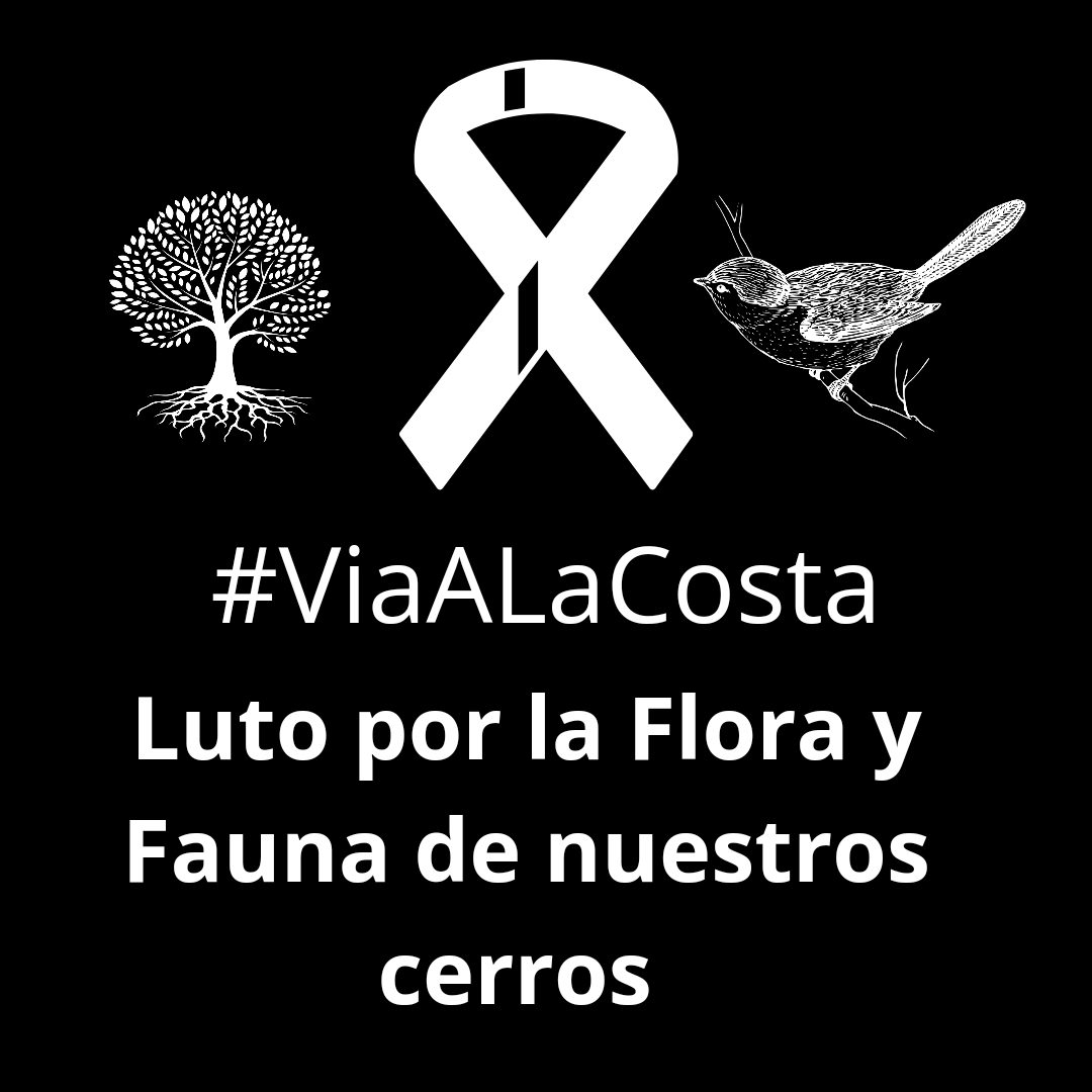 ViaLaCostaLucha's tweet photo. Hoy nuestro principal pulmón de #Guayaquil como es #CerroAzul sufre un terrible #Incendioforestal afectando la flora y fauna. Exigimos que las autoridades declaren #ReservaNatural los cerros de Vía a La Costa. Que investiguen y determinen culpables del incendio de hoy. https://t.co/qZLpGUlzjf