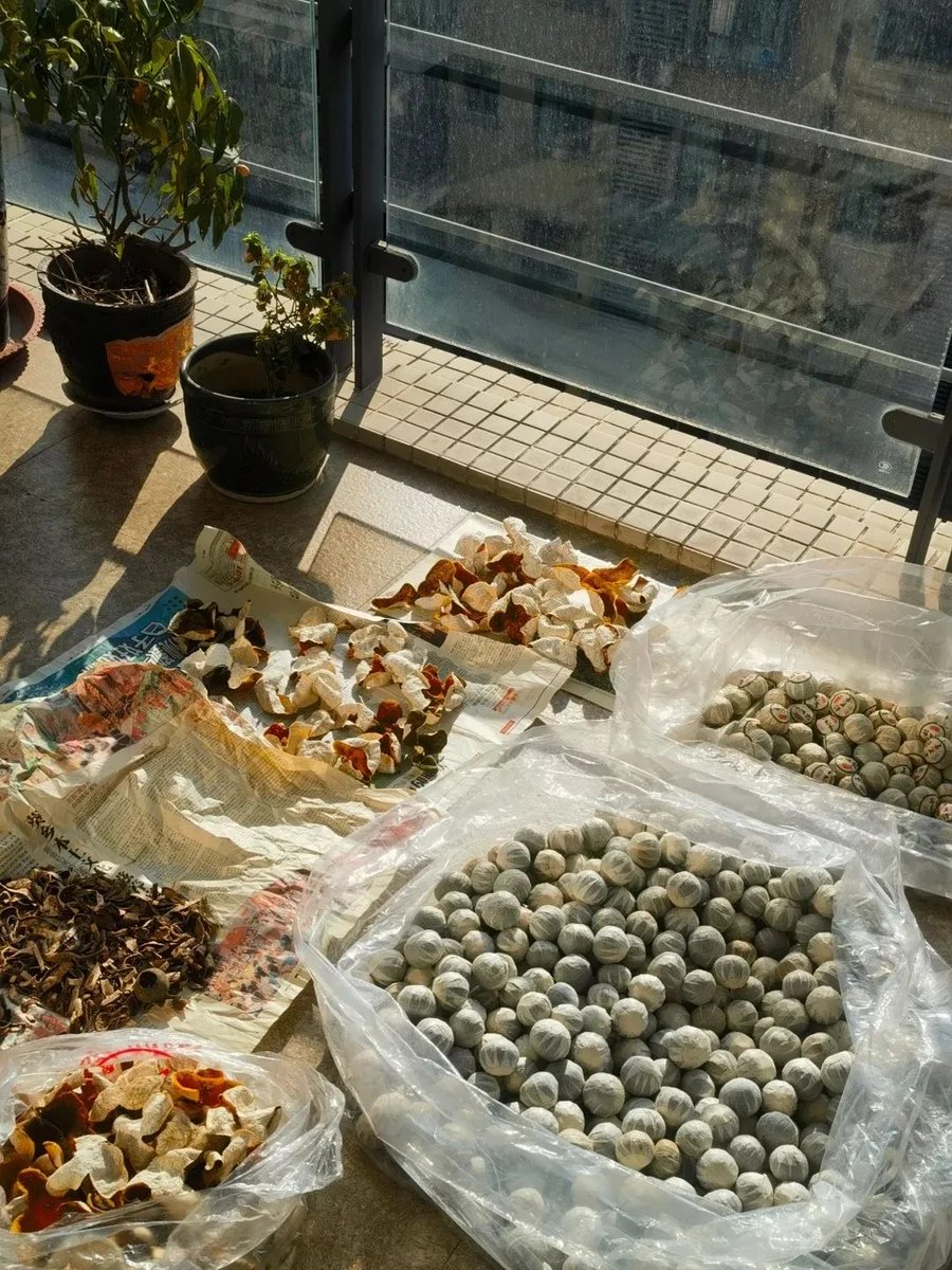 CZhizhuxia's tweet photo. The recent dry and sunny weather in #Zhuhai is suitable for drying cured meat and fish, vegetables, and #chenpi (dried tangerine peel) ☀️☀️.  #curedmeat 
@CulturalLingnan @iGuangdong @Jerry_grey2002 @ChitChatChina @zhengniushi @baiwei86676885 https://t.co/tCCcYiVOWc