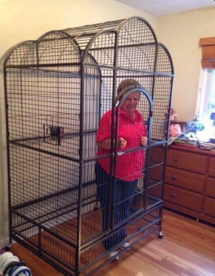 byeoolda's tweet image. locking my grandmother in a cage until mamamoo comeback