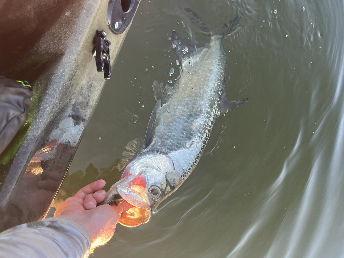 Neil Cavanah tweet media