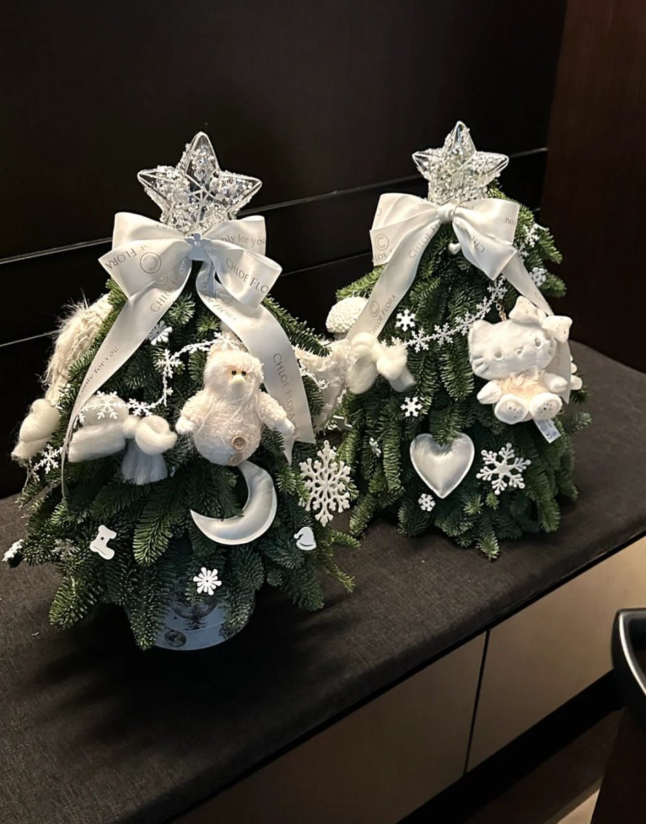 2024 Christmas Tree | Two of my favorites
#Xmas