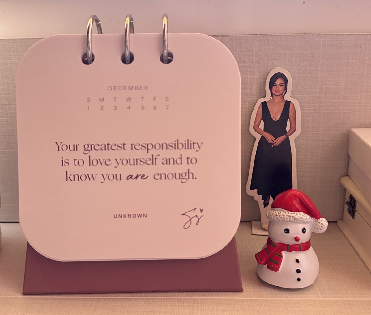 ringpovs's tweet image. @SelenaFanClub happy december sfc 🩷❄️